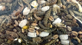 Utopie stooivoos avec des insectes - afbeelding 2