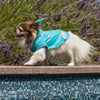 Croci Raincoat Dog Shark Light Bleu