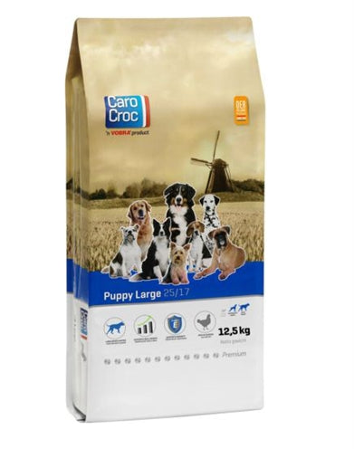 Chiot carocroc grand large