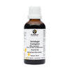 Cat complexe Green Os Solidago
