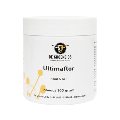 Chien ultimaflor vert