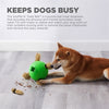 Chien de chien extérieur sniffle n 'grever ball vert