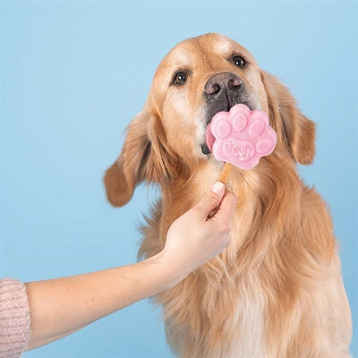 Mélange pour crème glacée Smoofl Smoofl pour chiens fraise