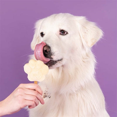Mélange de crème glacée pour chiens Smoofl Smoofl banane