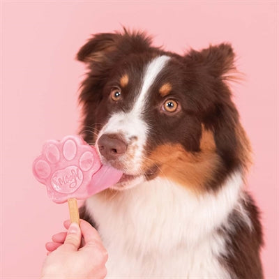 Mélange pour crème glacée Smoofl Smoofl pour chiens pastèque