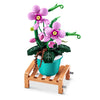 Plantation de pot de briques maximales