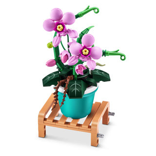Plantation de pot de briques maximales