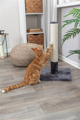 Trixie Scratching Post Bate Platinum Grey - afbeelding 4