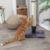 Trixie Scratching Post Bate Platinum Grey