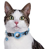 Chat à collier avec porte-étiquettes bleu clair