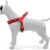 MORSO MINI DOG DIFFORMABLE ROCSTICK RECCYCLED RECYCLED ROCKING
