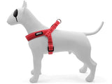 MORSO MINI DOG DIFFORMABLE ROCSTICK RECCYCLED RECYCLED ROCKING - afbeelding 3