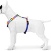 Huisse de chien Morso H-hem Blossom de printemps recyclé