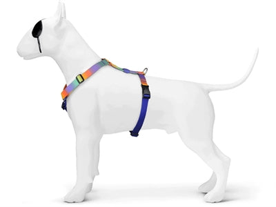 Huisse de chien Morso H-hem Blossom de printemps recyclé