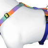 Huisse de chien Morso H-hem Blossom de printemps recyclé