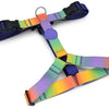Huisse de chien Morso H-hem Blossom de printemps recyclé