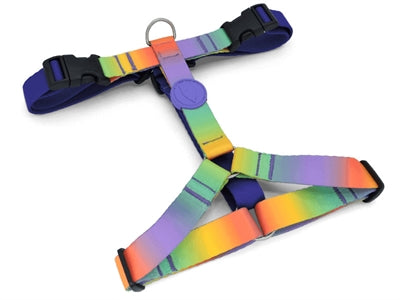 Huisse de chien Morso H-hem Blossom de printemps recyclé