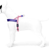 MORSO Norwegian Dog Harvest recyclé Sweet Tweet Pink