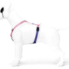 MORSO DOG HAREN H-HER Recyclé Sweet Tweet Pink