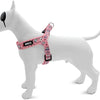 MORSO MINI DOG plus dur recyclé ajusté Sweet Tweet Pink