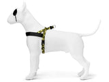 MORSO NORWEGIAN DOG ANCERT - afbeelding 2