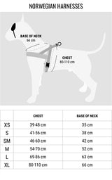 MORSO NORWEGIAN DOG ANCERT - afbeelding 4
