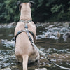 MORSO DOG HARNESS H-HER Recyclé Full Metal Dog Brown