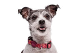 MORSO Collar Dog recyclé rose penser rose - afbeelding 3