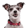 MORSO Collar Dog recyclé rose penser rose
