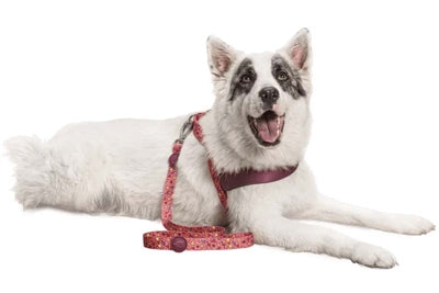 MORSO DOG LASH Recycled Pink Think Pink