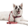 MORSO DOG LASH Recycled Pink Think Pink