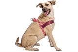 MORSO NORWEGIAN DOG plus dur recyclé rose penser rose - afbeelding 2
