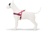 MORSO NORWEGIAN DOG plus dur recyclé rose penser rose - afbeelding 3