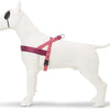MORSO NORWEGIAN DOG plus dur recyclé rose penser rose