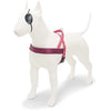 MORSO NORWEGIAN DOG plus dur recyclé rose penser rose