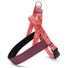 MORSO NORWEGIAN DOG plus dur recyclé rose penser rose