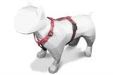 MORSO DOG HAREN H-hem recyclé rose penser rose - afbeelding 3