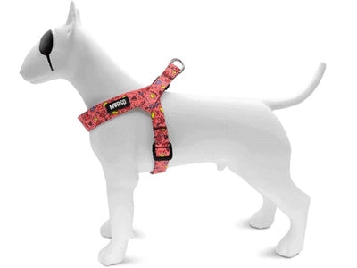 MORSO MINI DOG DIFFORMER RESSING RÉGYCHÉ RÉGLABLE PENSE ROSE