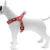 MORSO MINI DOG DIFFORMER RESSING RÉGYCHÉ RÉGLABLE PENSE ROSE