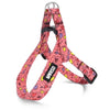 MORSO MINI DOG DIFFORMER RESSING RÉGYCHÉ RÉGLABLE PENSE ROSE