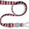 Morso Dog Celt Ajustement Resse