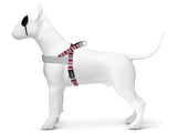 MORSO NORWEGIAN DOG plus dur recyclé Skyline Rose rouge - afbeelding 1
