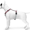 MORSO DOG HAREN H-HER Recyclé Skyline Rose rouge