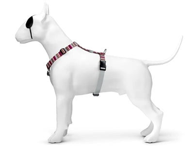 MORSO DOG HAREN H-HER Recyclé Skyline Rose rouge