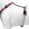 MORSO DOG HAREN H-HER Recyclé Skyline Rose rouge