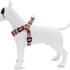 MORSO Mini chien plus dur recyclé Rose rose rouge