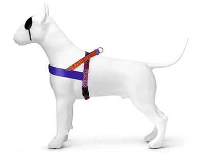 MORSO Norwegian Dog Aculator Recyclé Urban Lizard Red