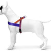 MORSO Norwegian Dog Aculator Recyclé Urban Lizard Red