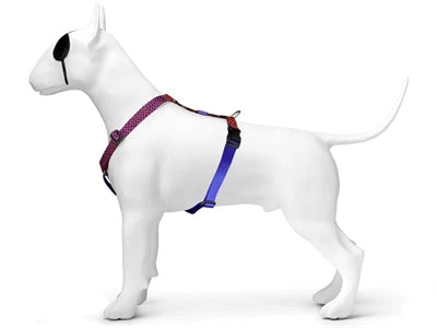 MORSO DOG HAREN H-HER Recyclé Urban Lizard Red