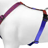 MORSO DOG HAREN H-HER Recyclé Urban Lizard Red